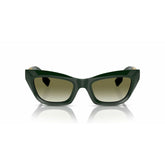 V2H01DF0E22DA196D6AA6690411F6B8A6E0R4799980P2